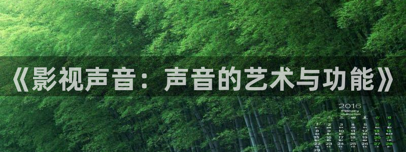 唐山麦田影城今日电影：《影视声音：声音的艺术与功能》