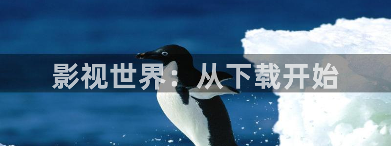 麦田影院官网入口：影视世界：从下载开始