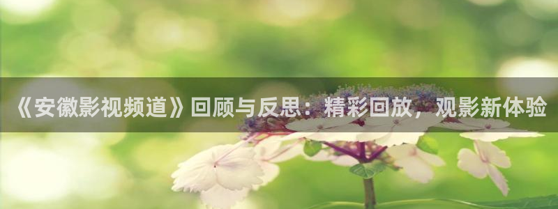 麦田影像：《安徽影视频道》回顾与反思：精彩回放，观影新体验