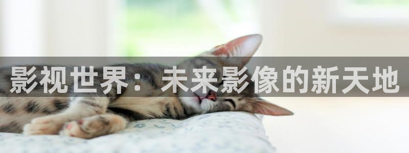 麦田影视官方网站入口：影视世界：未来影像的新天地