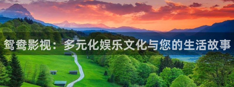麦田电影院：鸳鸯影视：多元化娱乐文化与您的生活故事