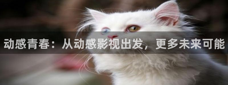江阴麦田视觉：动感青春：从动感影视出发，更多未来可能