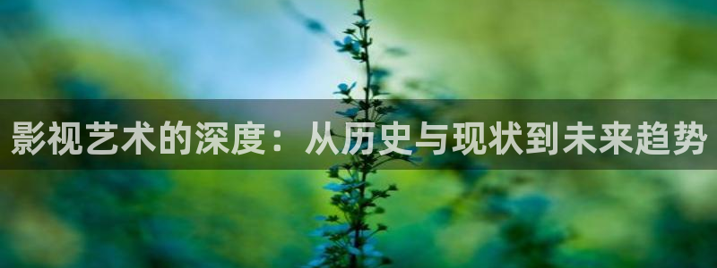 冀州麦田影城电影查询：影视艺术的深度：从历史与现状到未来趋势